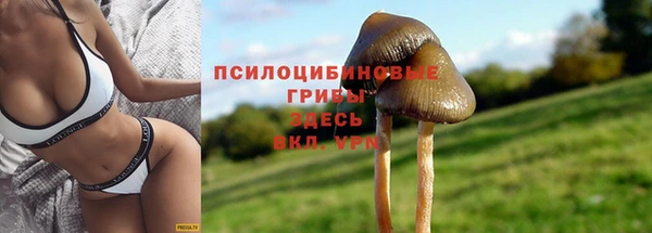 бутират Карталы