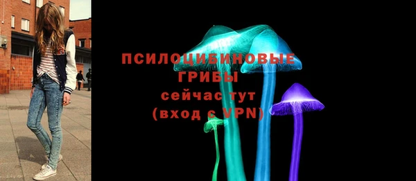 бошки Касимов
