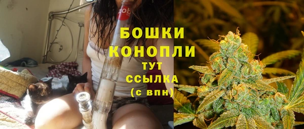 бошки Касимов